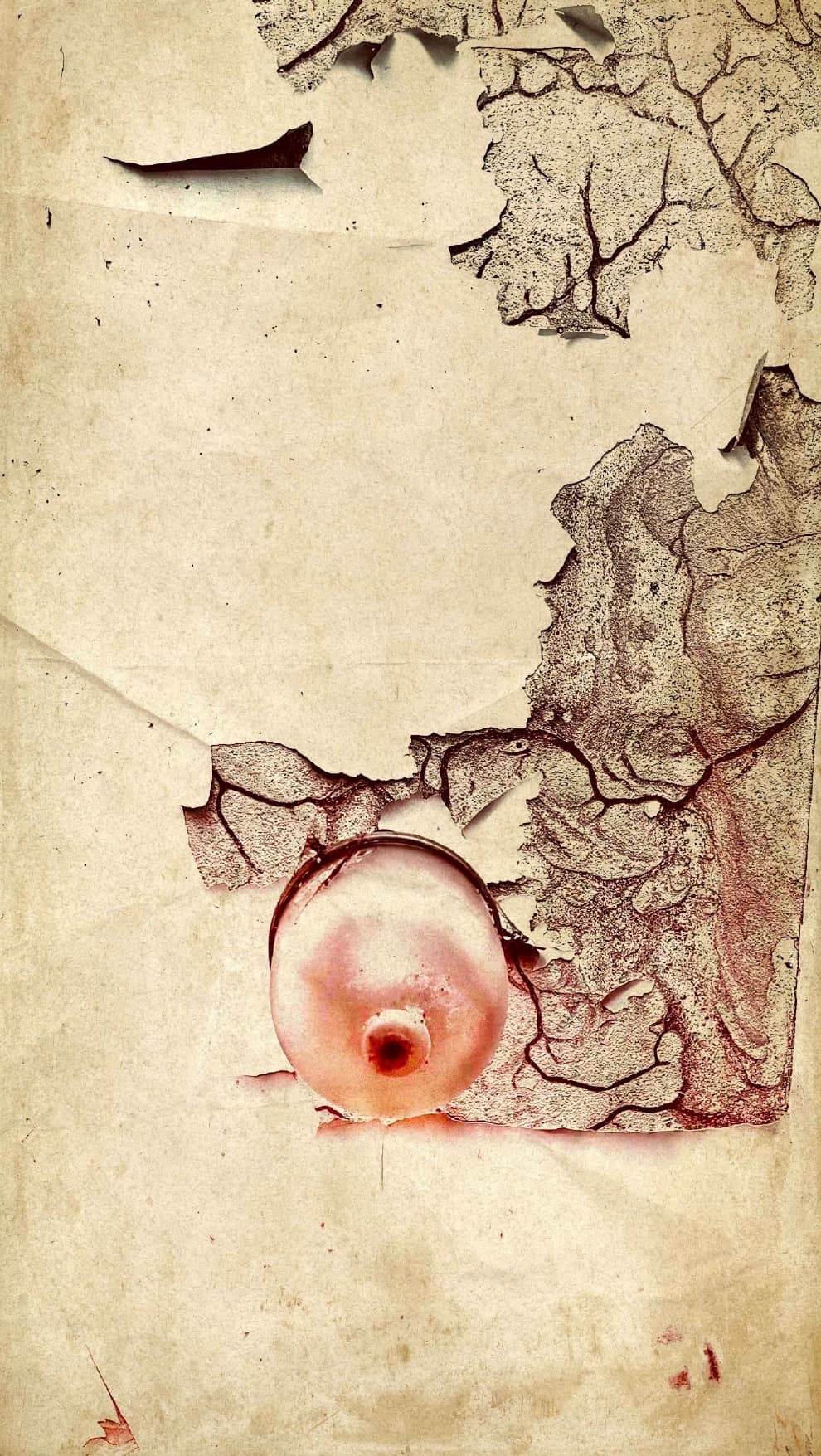 echoes of decay — frame 1