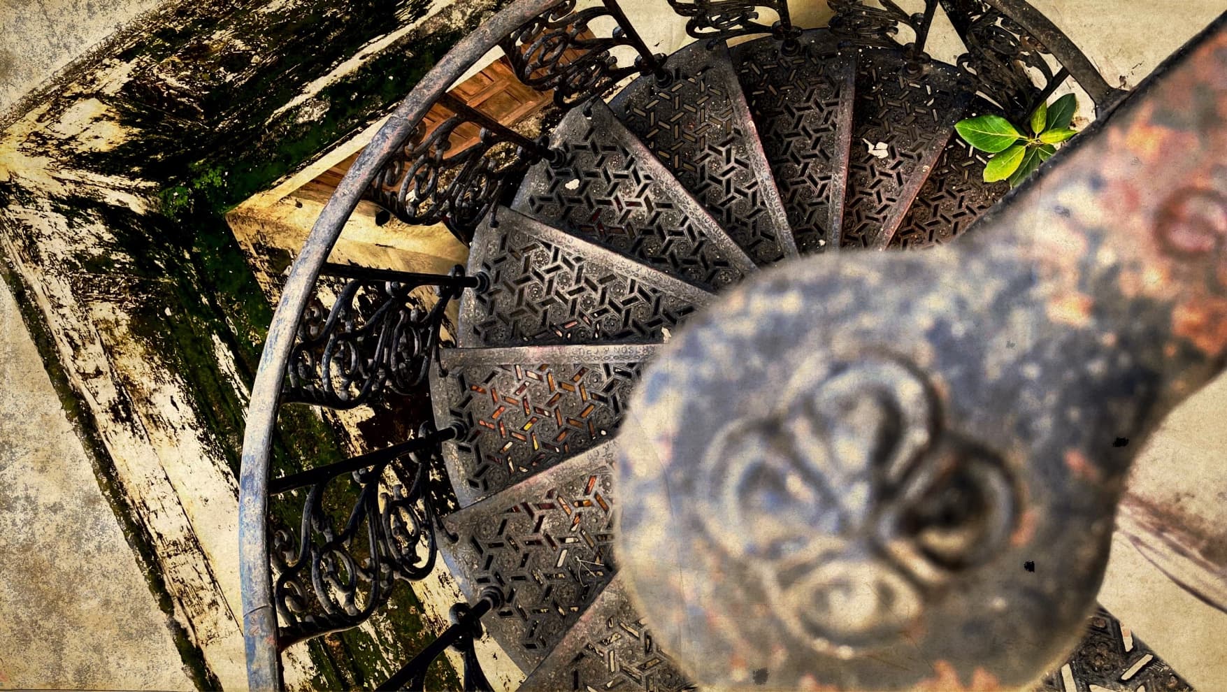 Remnants of Beauty — frame 4