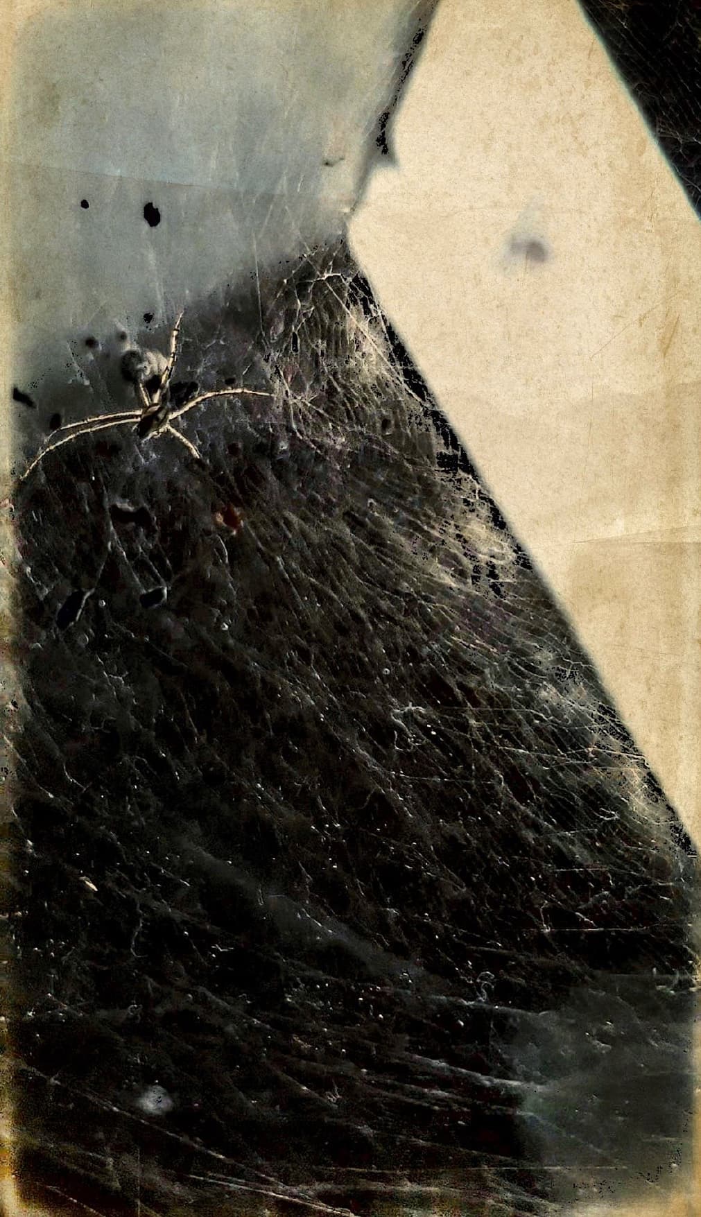 Resilient Forces — frame 1